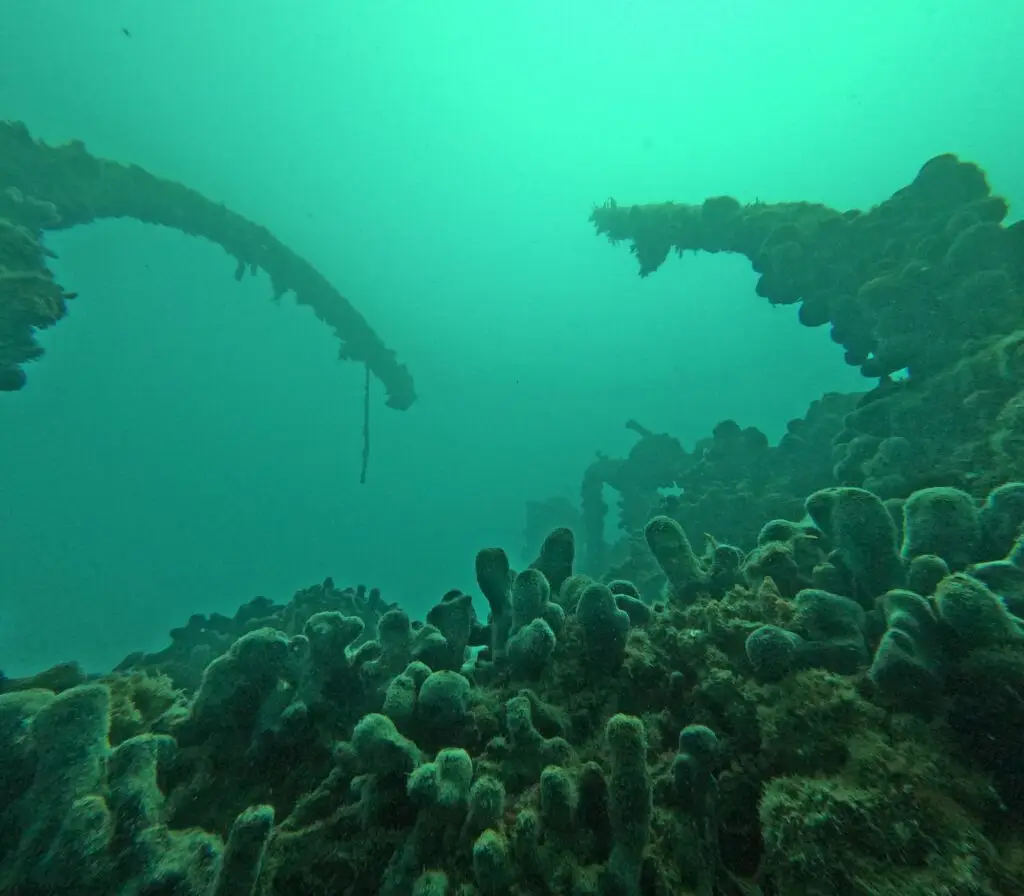 DCIM102GOPROGOPR4184.JPG
