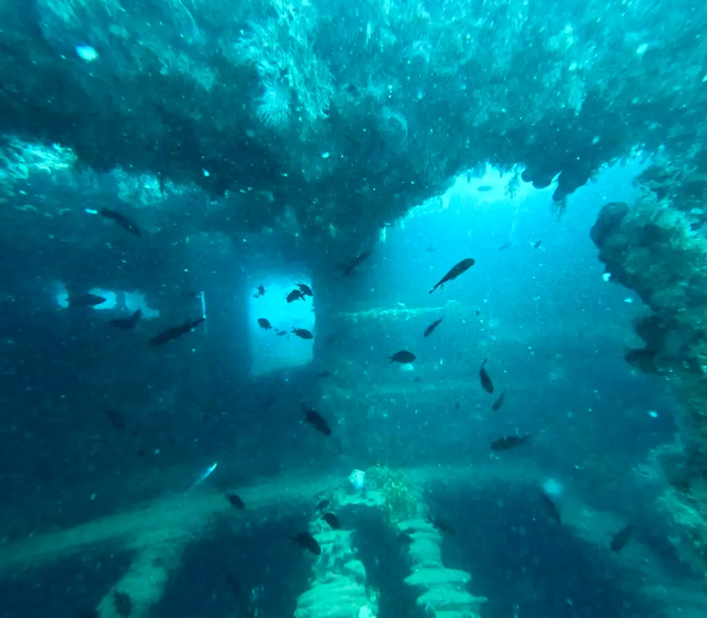 DCIM101GOPROGOPR3640.JPG