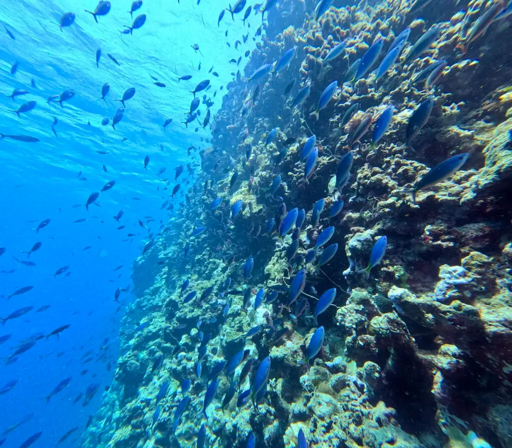 DCIM100GOPROGOPR7557.JPG