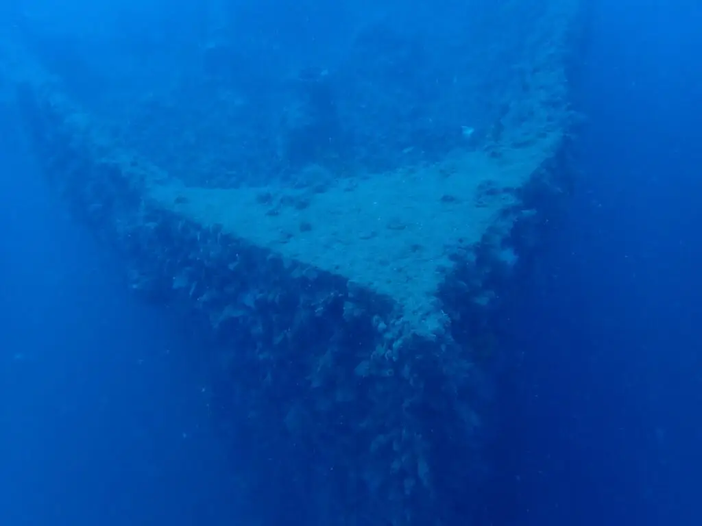 P5082048